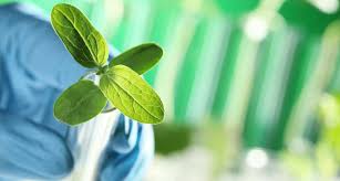 روغن ChemGroup